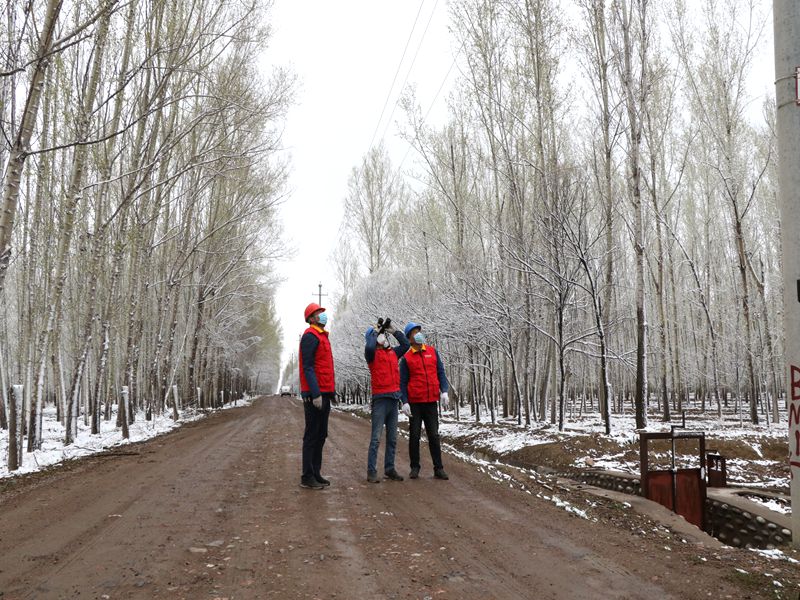 國網(wǎng)伊犁伊河供電公司四月飛雪，電力員工巡視線路保供電