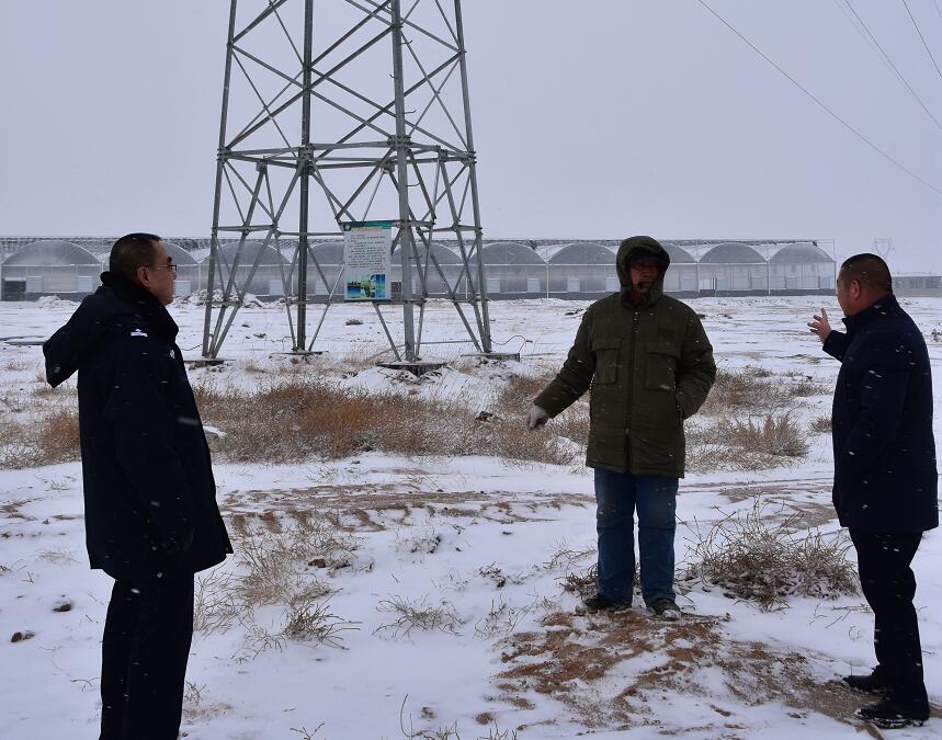 二連浩特供電公司：開展客戶側(cè)安全檢查，確?？诎犊蛻粝楹兔髁吝^春節(jié)