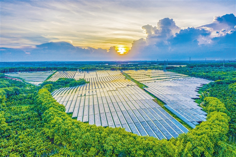海南電網(wǎng)公司加快構(gòu)建現(xiàn)代供電服務體系，驅(qū)動鄉(xiāng)村振興電力引擎