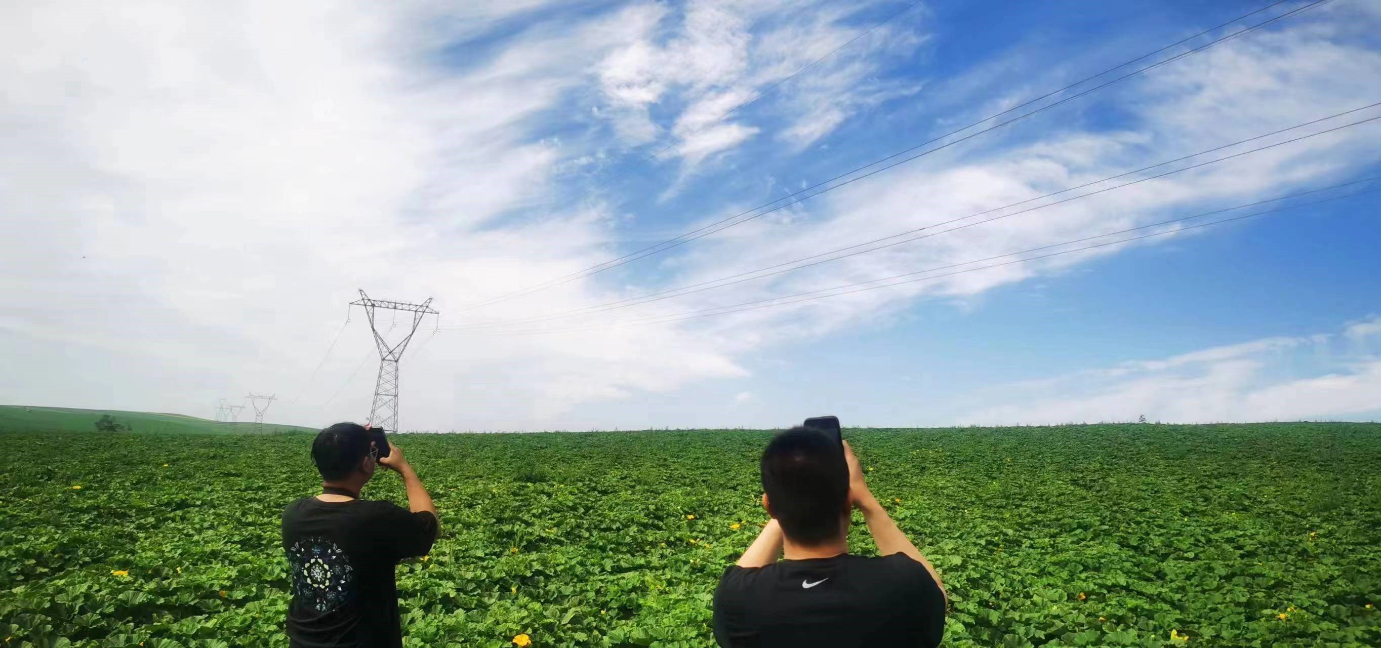 四子王輸變電管理處：防外力破壞，助安全運行