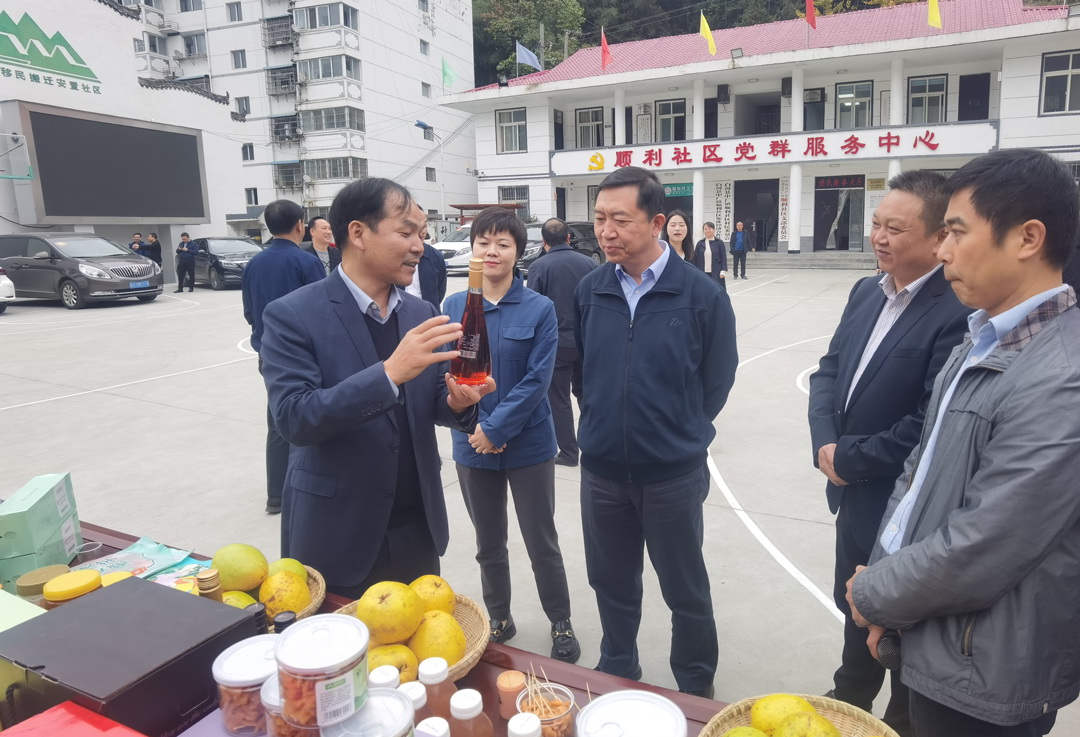 中核集團總經(jīng)理、黨組副書記顧軍赴陜西白河、旬陽調(diào)研鄉(xiāng)村振興工作