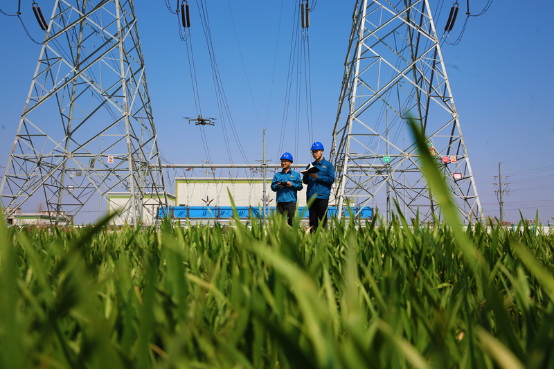 國網(wǎng)山東電力公司全力護航春耕春灌